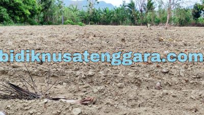 Progam Pacul Tanah di Kecamatan Rinhat Diduga Tebang Pilih Dan Beraroma KKN