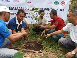 Produktivitas Kopi Manggarai Timur Menurun, Astra Indonesia Bersama Petani Kopi Colol Tanam 2000 Pohon Kopi