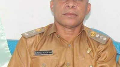 Terkait Rabat Baton Desa Tesa, Akhinya Camat Laenmanen Angkat Bicara