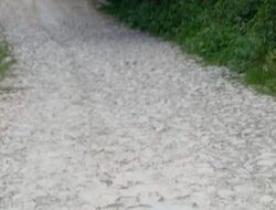 Prihatin Jalan Rusak Di Insana Barat Sudah Bertahun-tahun, Aktivis Roland: Pemda TTU Jangan Tutup Mata