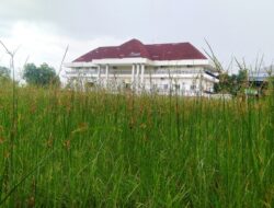 Lapangan Bersejarah ETMC 2019 Tak Terawat, Pemerintah Diminta Peduli