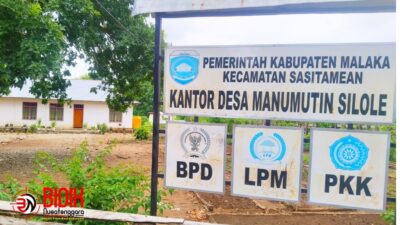 Pengadaan Bibit Babi Senilai Rp 100 Juta di Desa Manumutin Silole Diduga Sarat Praktek Korupsi