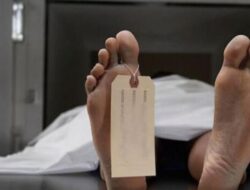 Jurnalis InSulteng.id Ditemukan Tewas di Hotel Jakarta, Dugaan Pembunuhan Menguat, Keluarga Desak Keadilan