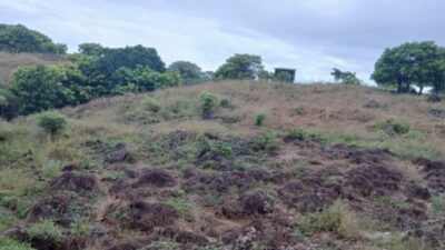 Maria Mba’u Mbuik Soroti Kejanggalan Putusan MA Dalam Sengketa Tanah di Kupang
