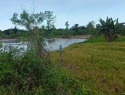 Bupati SBS dan Wabup HMS Realisasikan Program Prioritas: 3 Tanggul Segera Dikerjakan Atasi Banjir