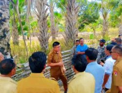 Strategi Pengembangan Pertanian Jagung dan Pengadaan Ternak Bergulir Jadi Prioritas Bupati Belu