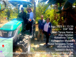 Camat Gaudentiana Rafu Nahak: Pacul Tanah Gratis Bukti Nyata Kepedulian Pemimpin Malaka