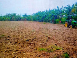 Petani Desa Oanmane Bersyukur atas Program Revolusioner SBS-HMS, Tingkatkan Produktivitas dan Kesejahteraan Masyarakat Malaka
