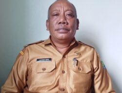 Pertumbuhan Jagung & Padi Ladang Malaka MT I 2025/2026 Menjanjikan, Panen Signifikan di Depan Mata