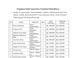 Kepala Desa Badarai Diduga Selewengkan Dana Desa Rp 233,5 Juta, Warga Siap Laporkan ke Bupati