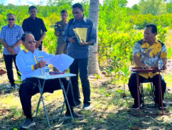 Bupati SBS Teken Dokumen di Bawah Pohon, Apa Pesannya?