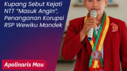 Sebut Kejati NTT Mandul, Kini PMKRI Kupang Sebut Kejati NTT ‘Masuk Angin’, Penanganan Korupsi RSP Wewiku Mandek