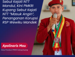 Sebut Kejati NTT Mandul, Kini PMKRI Kupang Sebut Kejati NTT ‘Masuk Angin’, Penanganan Korupsi RSP Wewiku Mandek