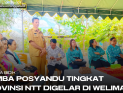 Lomba Posyandu Tingkat Provinsi NTT Digelar di Weliman, Dua Posyandu Kabupaten Malaka Jadi Sasaran Penilaian